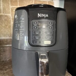 Ninja Air Fryer 4 Quart (AF101) Review